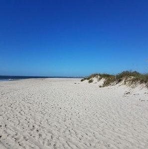 Meet your Posher, Donald